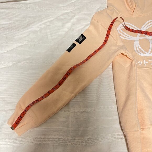 Aritzia TNA Rare Sweatfleece Streetwear Hoodie Peach - Small - Picture 9 of 11